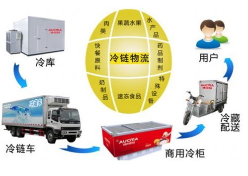 上海至新鄉恒溫物流專線 企業網絡驅動下的專業冷鏈解決方案