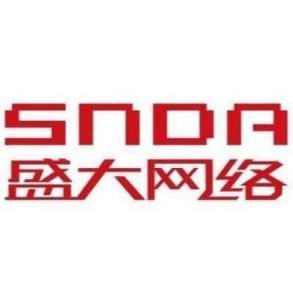 上海盛大網絡 從游戲巨頭到多元化科技企業的網絡發展之路