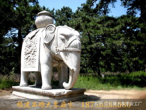 河北清西陵石雕大象造型及墓地擺放石象的作用