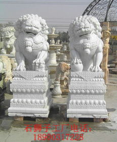 廠家供應石雕獅子 花崗巖獅子 精品石獅子 獅子雕刻價格 廠家 圖片